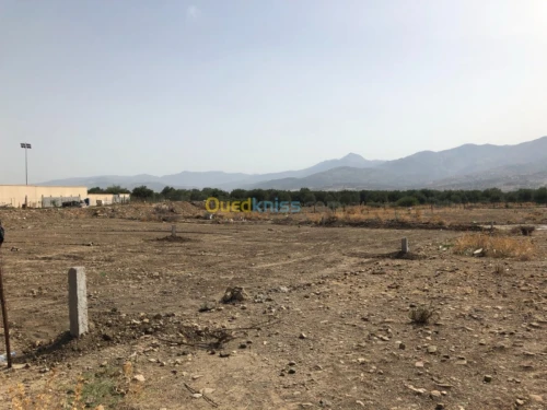 Vente Terrain Bejaia Akbou