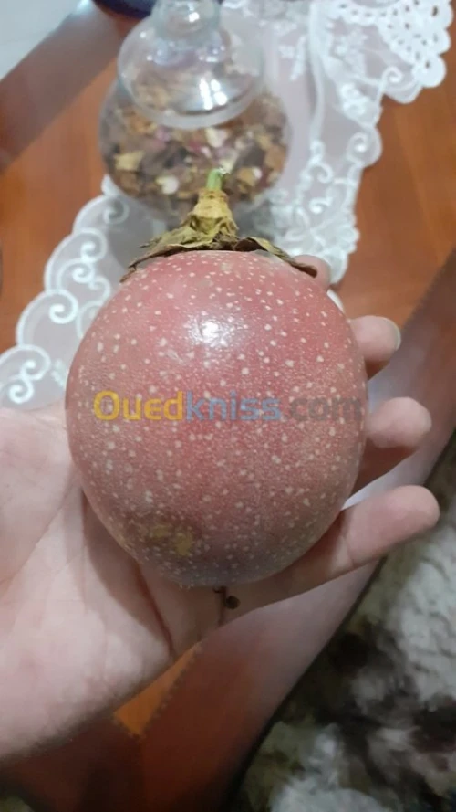 Maracuja violette (fruit de passion)