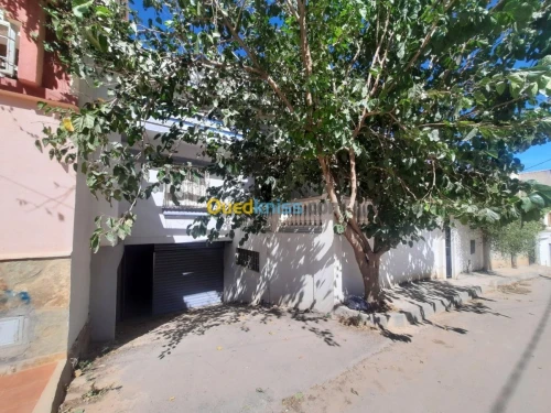 Vente Villa Blida Blida
