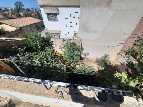 Vente Villa Blida Blida