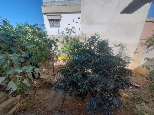 Vente Villa Blida Blida