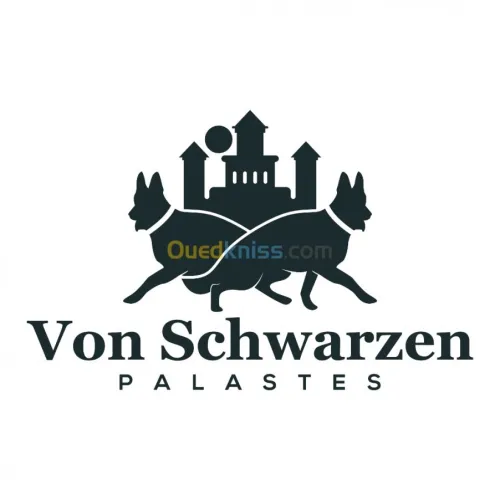 Conception LOGO
