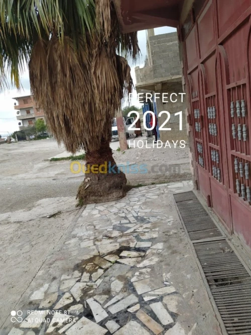 Location Local Constantine El khroub