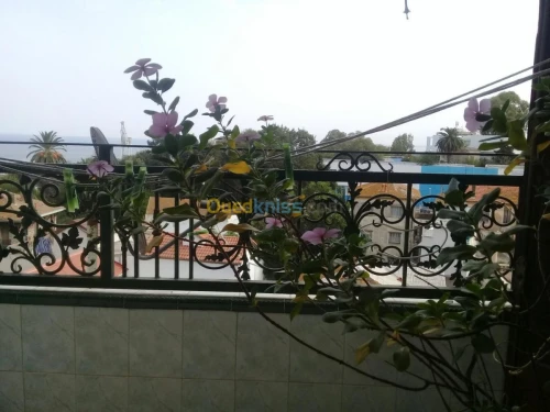 Vente Appartement F4 Annaba Annaba