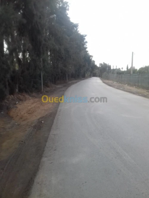Vente Terrain Alger Sidi moussa