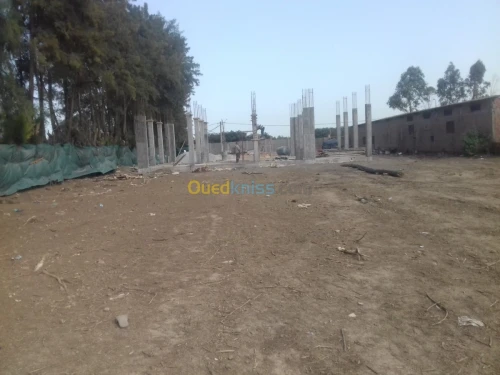 Vente Terrain Alger Sidi moussa