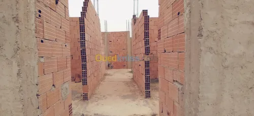 Vente Terrain Relizane Belassel bouzegza