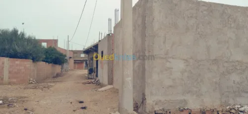 Vente Terrain Relizane Belassel bouzegza