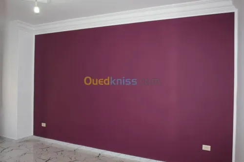 Peintre et plaquiste ..