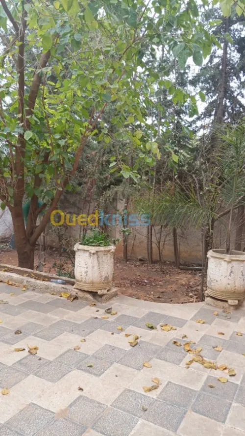 Location Villa Alger Saoula