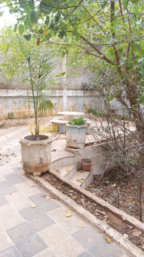 Location Villa Alger Saoula