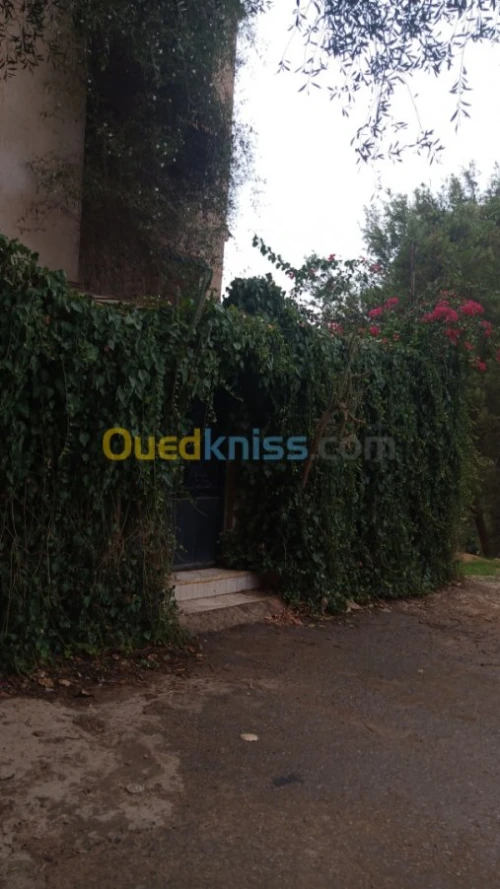 Location Villa Alger Saoula