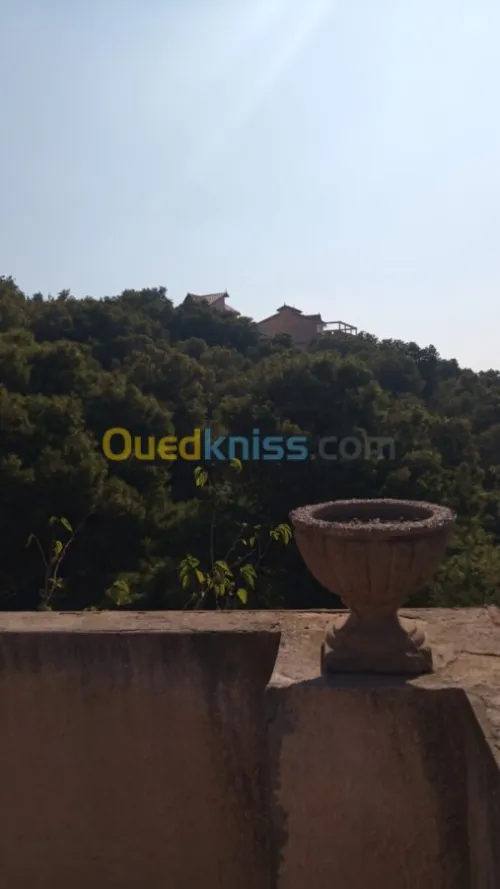 Location Villa Alger Saoula