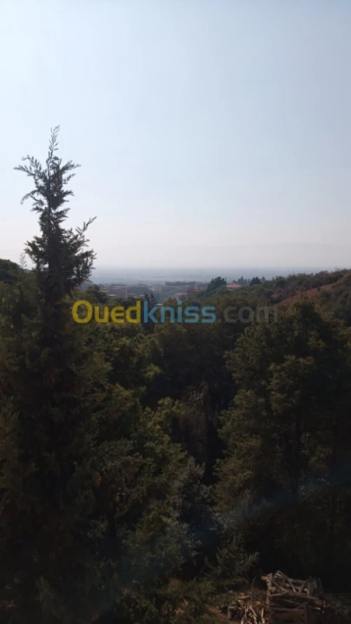 Location Villa Alger Saoula
