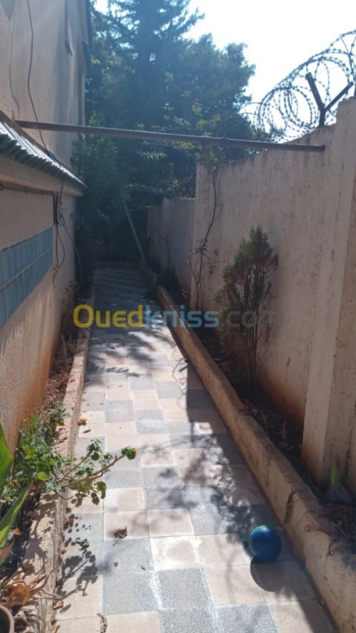 Location Villa Alger Saoula