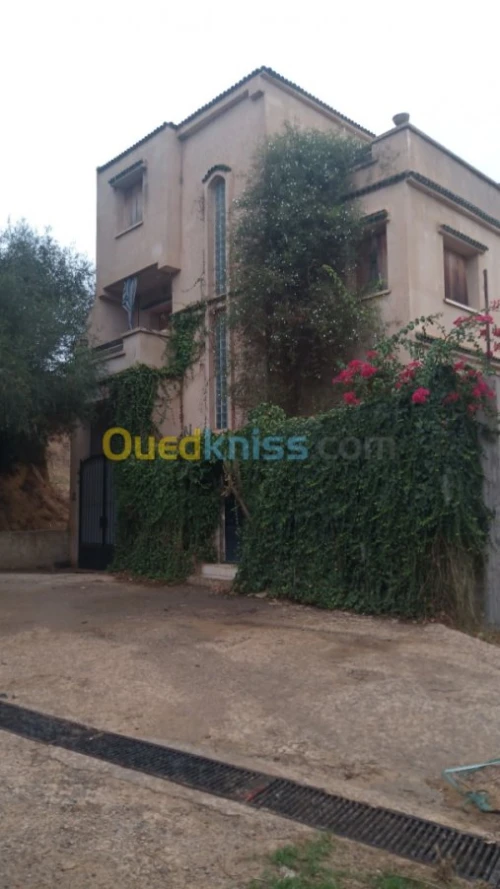 Location Villa Alger Saoula