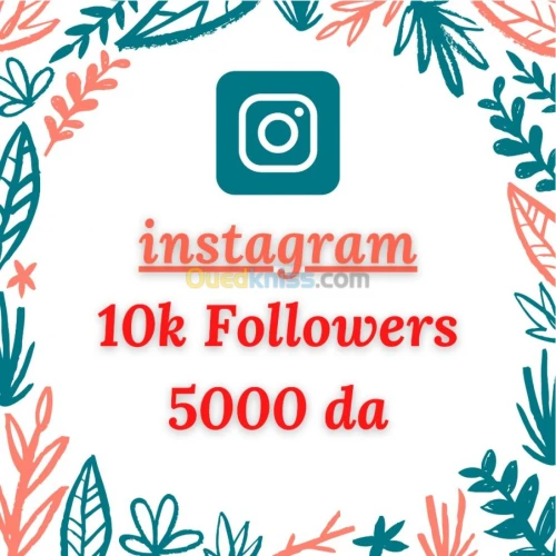 Instagram Followers