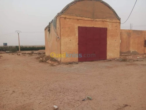 Vente Terrain Agricole Djelfa Ain oussara