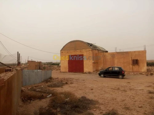 Vente Terrain Agricole Djelfa Ain oussara