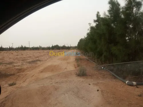 Vente Terrain Agricole Djelfa Ain oussara