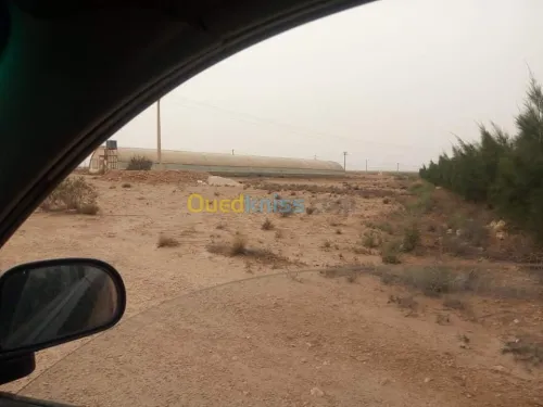Vente Terrain Agricole Djelfa Ain oussara