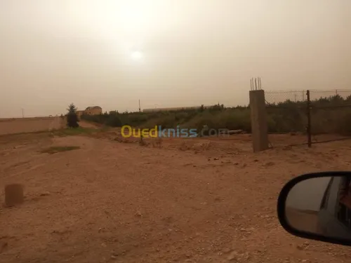 Vente Terrain Agricole Djelfa Ain oussara