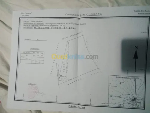 Vente Terrain Agricole Djelfa Ain oussara