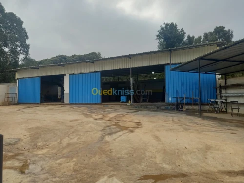Location Hangar Boumerdes Zemmouri