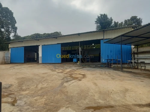 Location Hangar Boumerdes Zemmouri