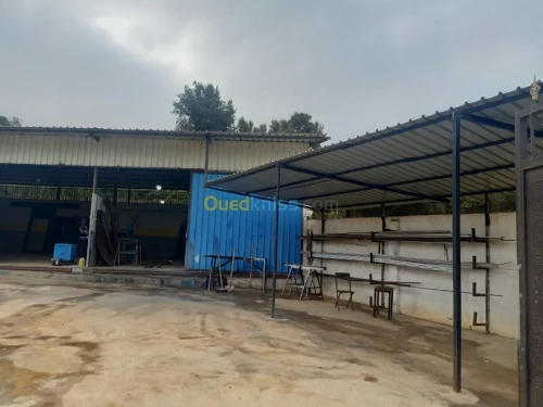 Location Hangar Boumerdes Zemmouri