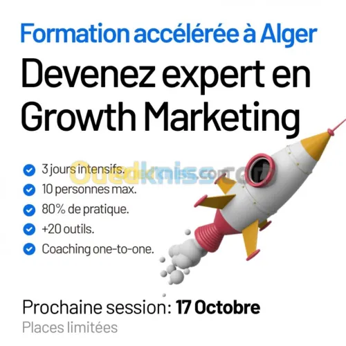 Formation en Growth Marketing
