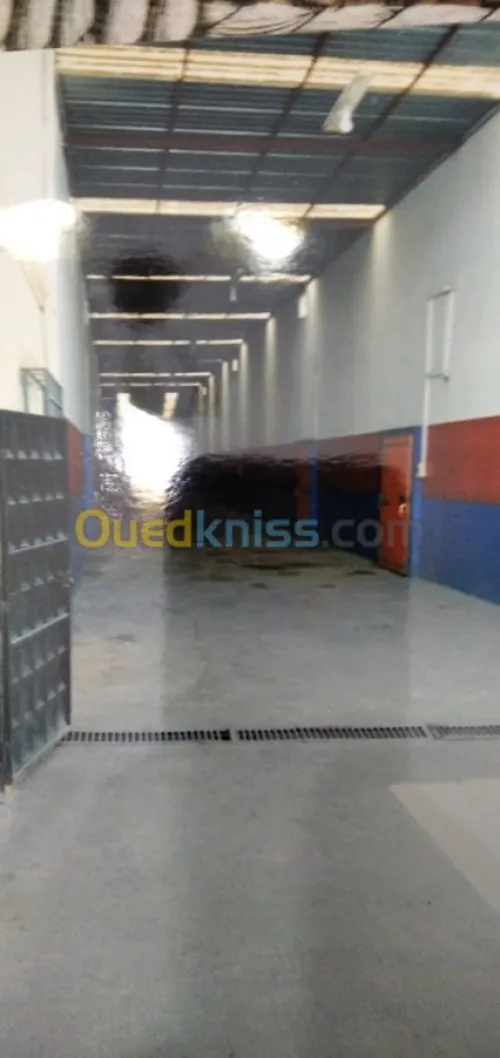 Vente bien immobilier Alger Belouizdad
