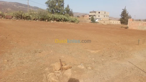 Vente Terrain Ain defla Ain soltane