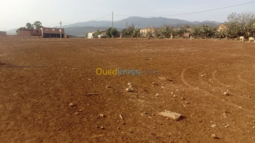 Vente Terrain Ain defla Ain soltane