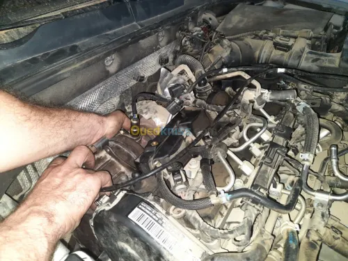 Suppression définitive ADBLUE FAP EGR 