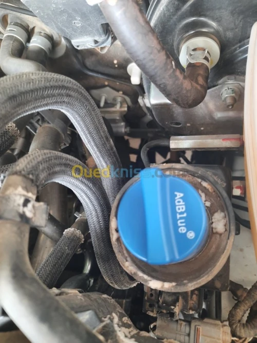 Suppression définitive ADBLUE FAP EGR 