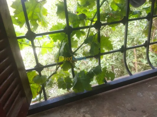 Vente Appartement F3 Tiaret Tiaret