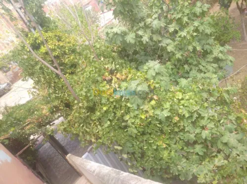 Vente Appartement F3 Tiaret Tiaret