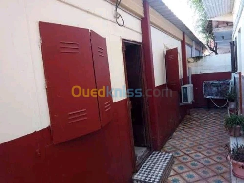 Vente Carcasse Chlef Chlef