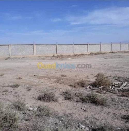 Vente Terrain Msila Msila