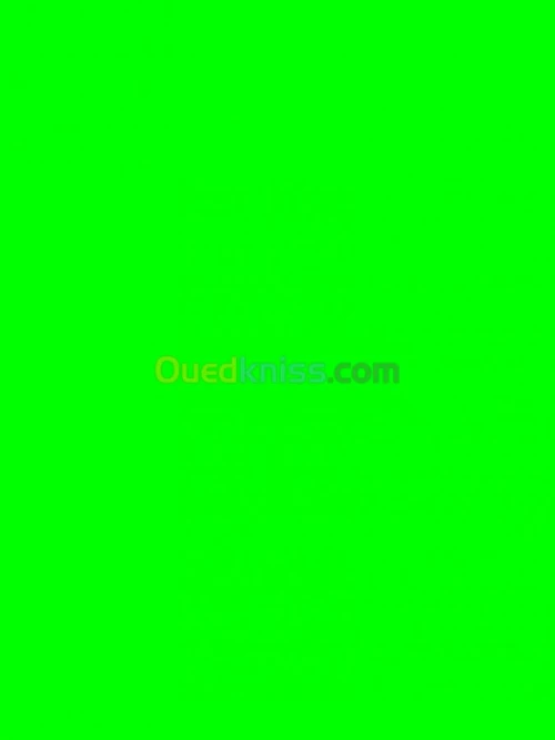 Vente Carcasse Oran Misseghine