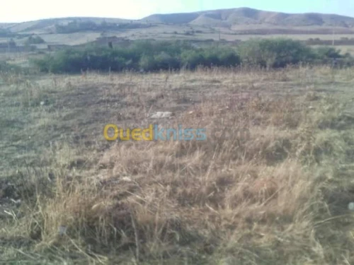 Vente Terrain Chlef Oued fodda