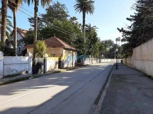 Vente Terrain Alger Ain taya