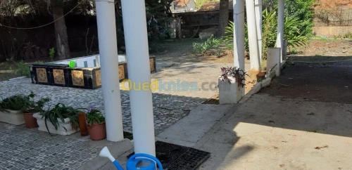 Vente Terrain Alger Ain taya