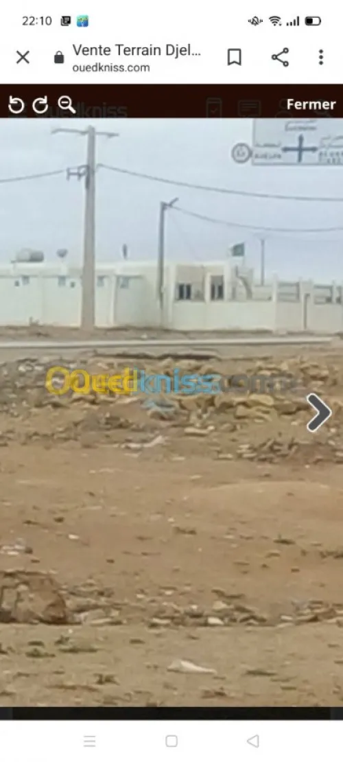 Vente Terrain Djelfa Ain oussara