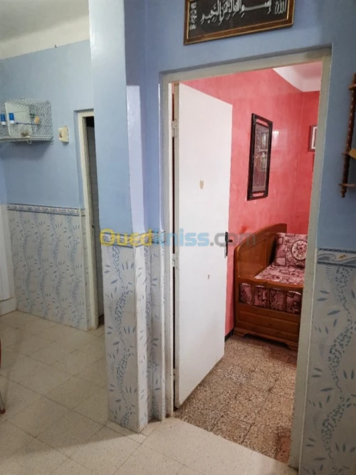 Vente Appartement Ouargla Touggourt