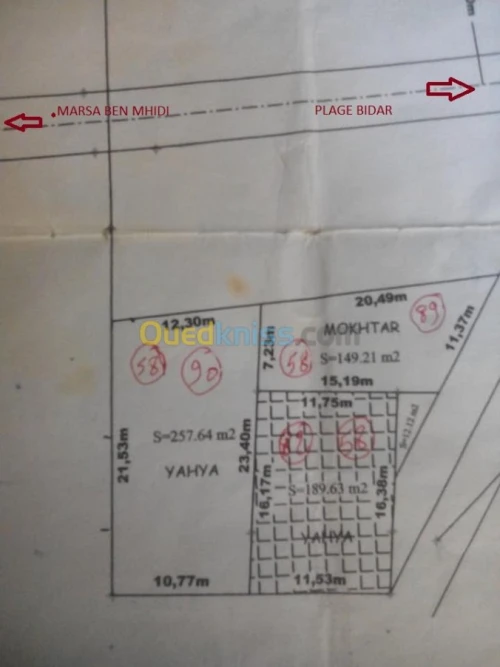 Vente Terrain Tlemcen Marsa ben mhidi