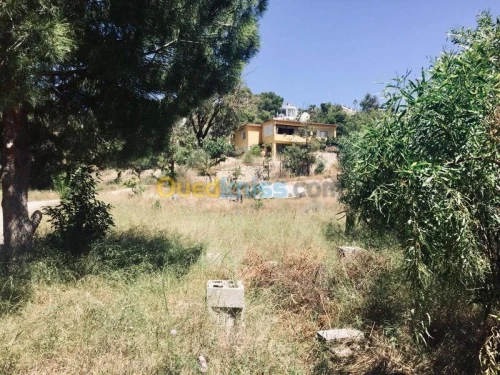 Vente Terrain Espagne