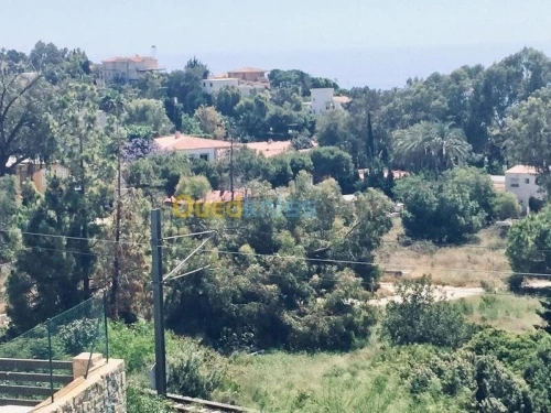 Vente Terrain Espagne