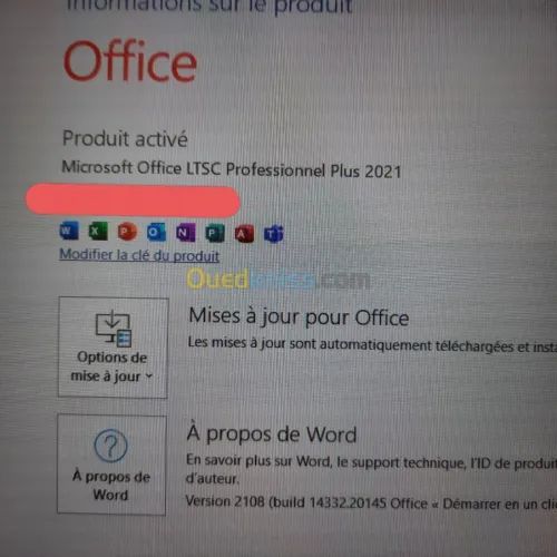 Ms Office 2021  Pro Plus LTSC 50, 500,5000  users